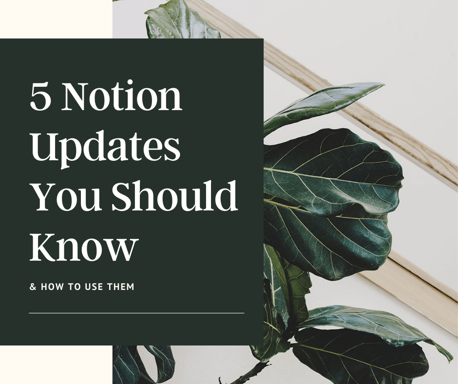 5 Essential Notion Updates Every Small Business Owner Should Explore in 2025 - Biz Strtga