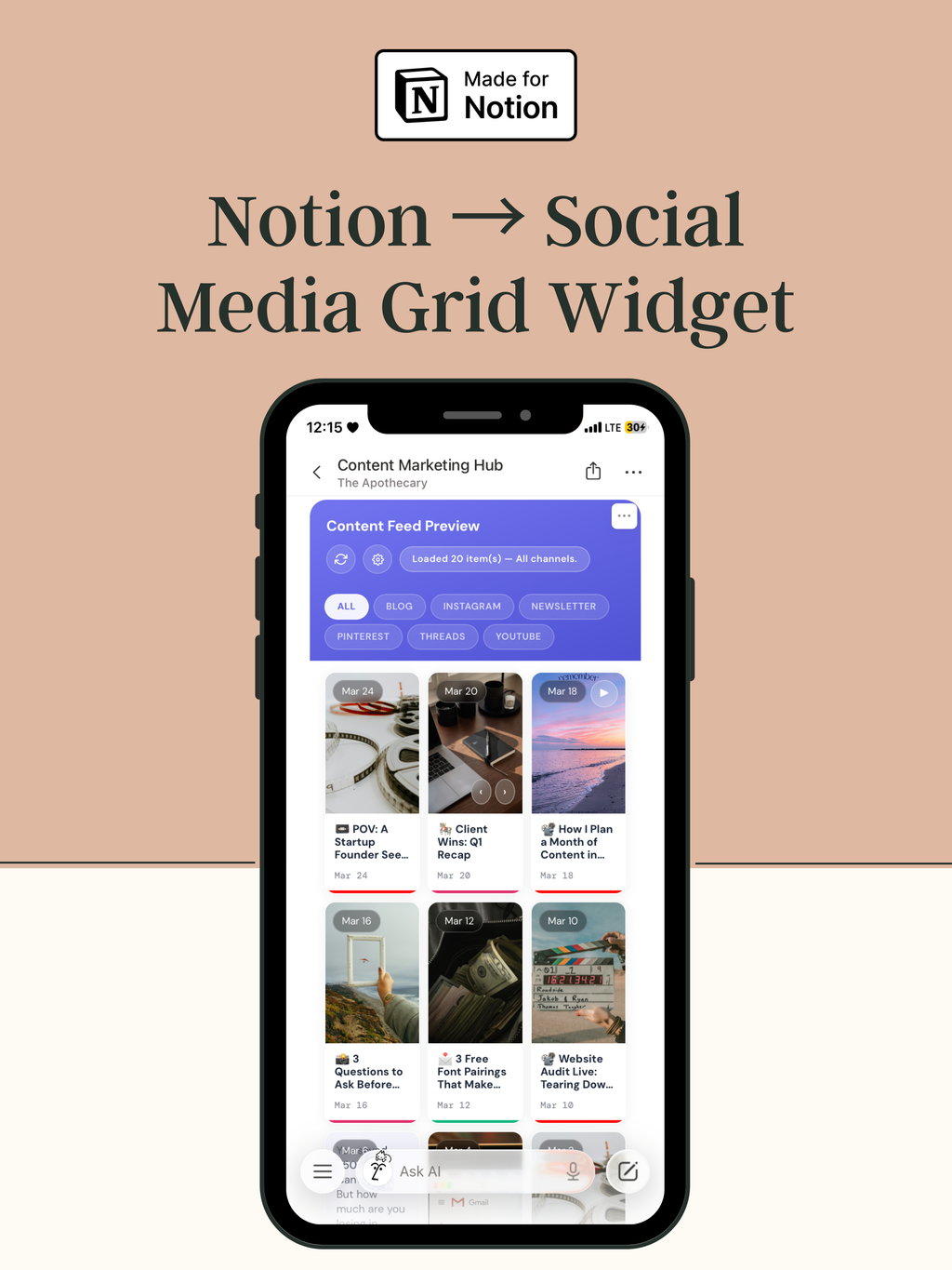 Notion x Social Media Grid Widget - Biz Strtga