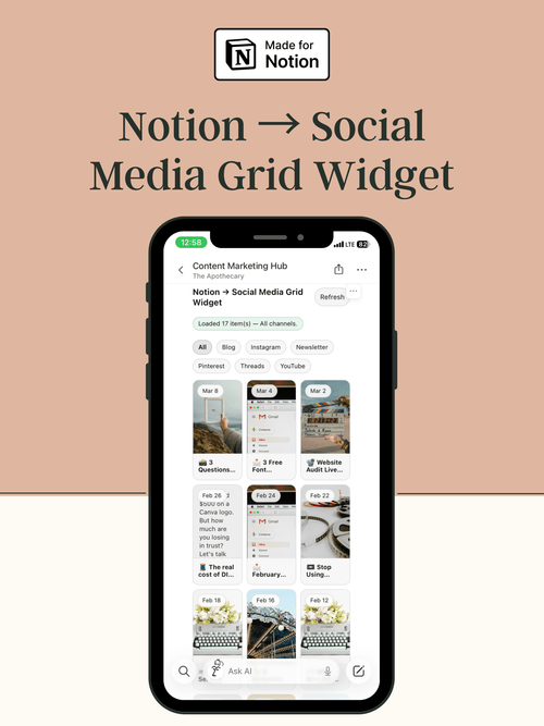 Notion → Social Media Grid Widget - Biz Strtga