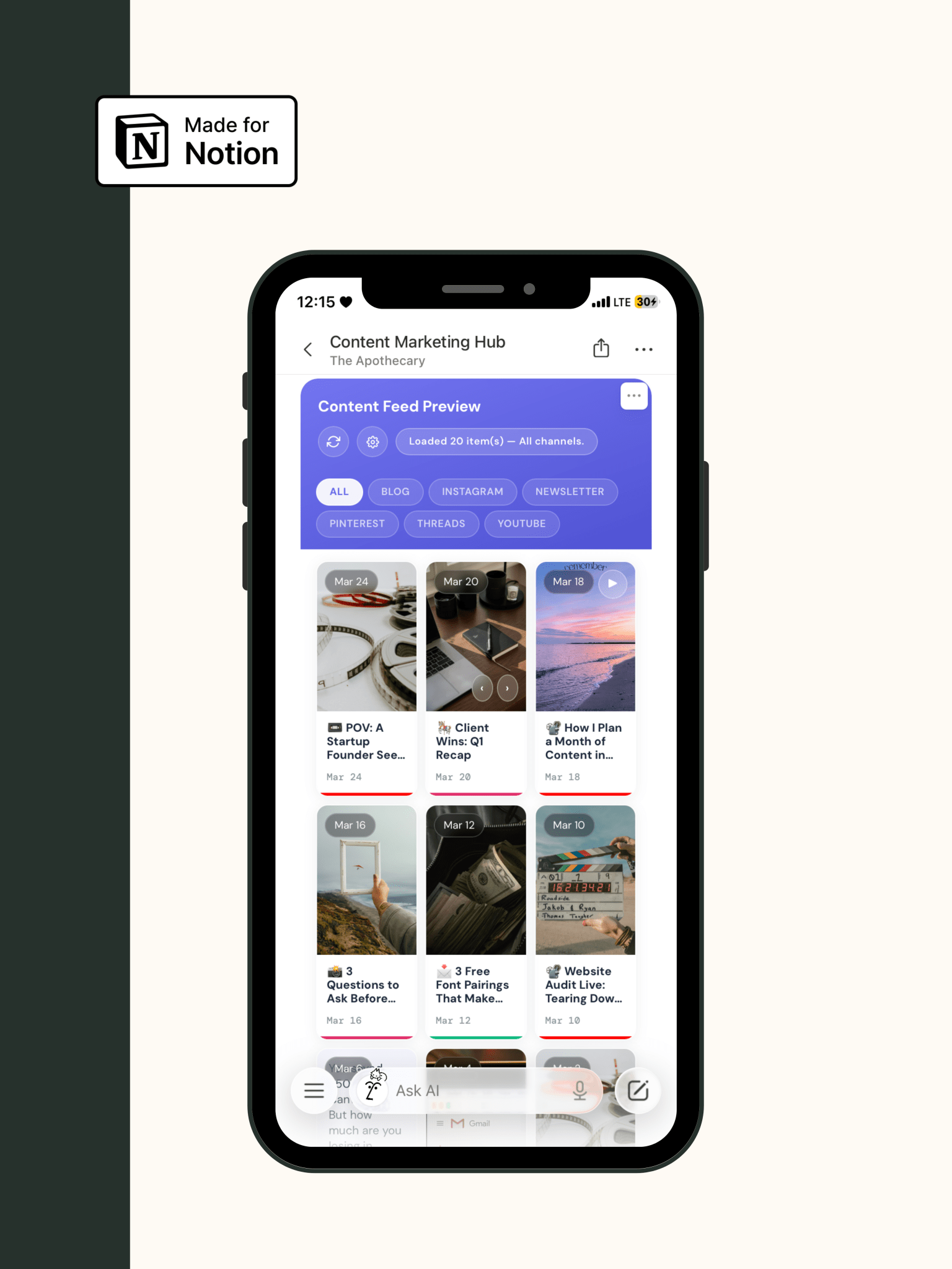 Notion → Social Media Grid Widget - Biz Strtga